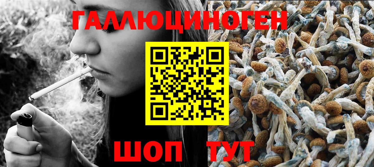Галлюциногенные грибы прущие грибы Клинцы