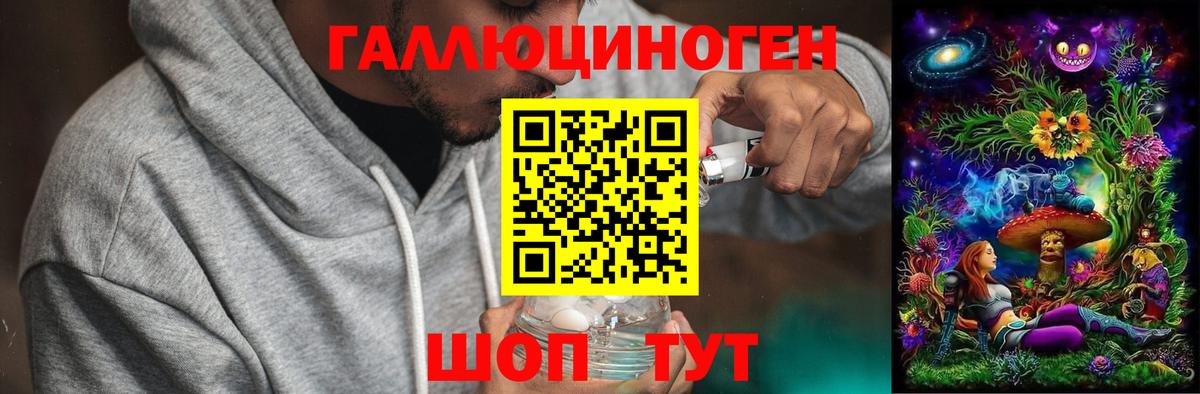 Псилоцибиновые грибы Psilocybe  Вход с VPN  Клинцы  Галлюциногенные грибы прущие грибы 